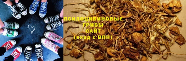 PSILOCYBIN Абинск