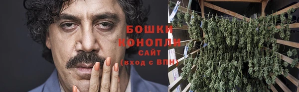 PSILOCYBIN Абинск