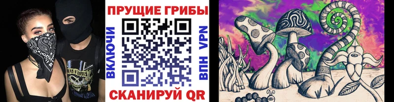 Галлюциногенные грибы Psilocybine cubensis  где продают   Туапсе 